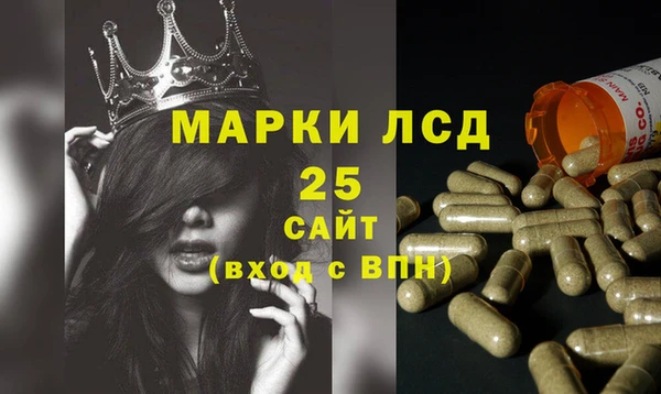 ПСИЛОЦИБИНОВЫЕ ГРИБЫ Алзамай