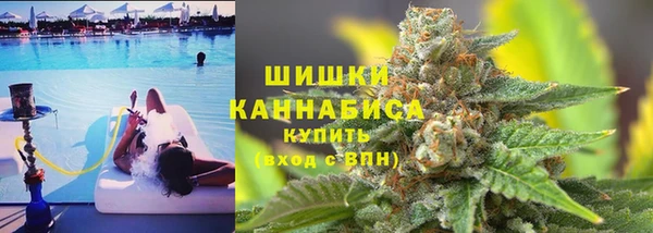 ПСИЛОЦИБИНОВЫЕ ГРИБЫ Алзамай