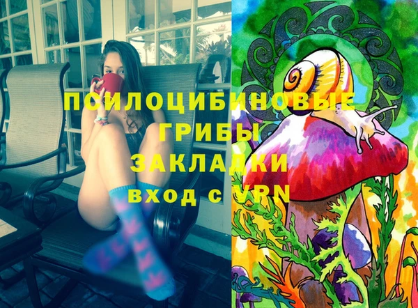 ПСИЛОЦИБИНОВЫЕ ГРИБЫ Алзамай