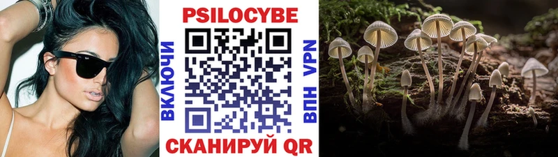 Галлюциногенные грибы Psilocybe  Дыгулыбгей 